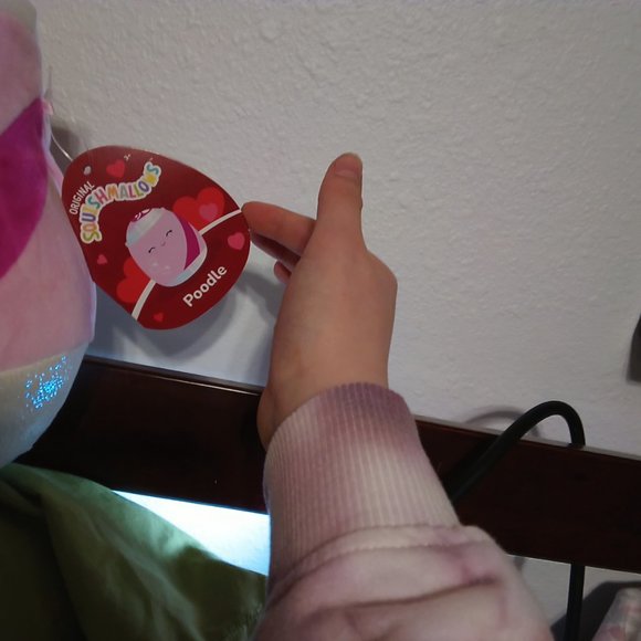 NWT Squishmallow Arnel and Poodle pair. - Picture 3 of 4